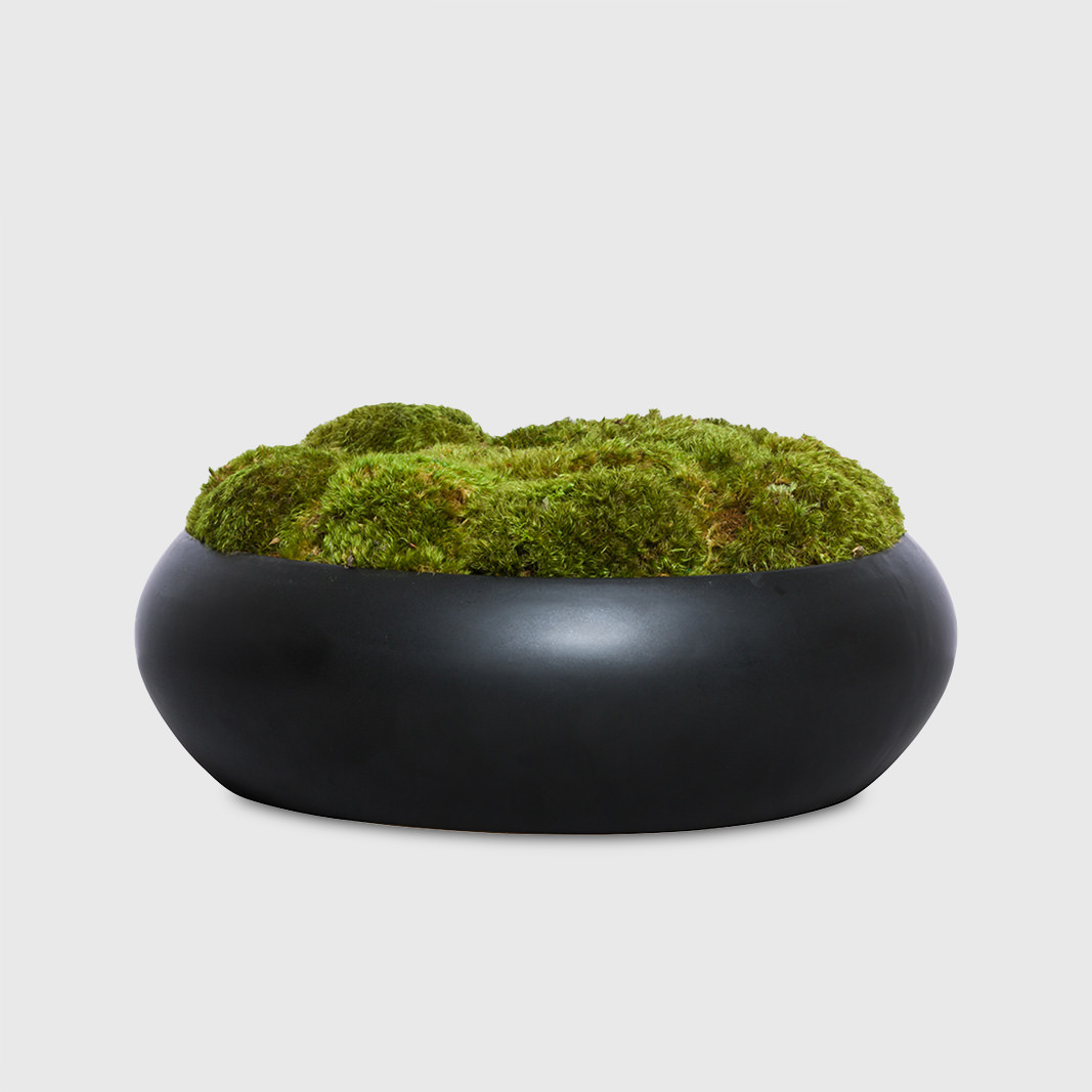 Mood moss in black round bowl – Hubley Design Interiors